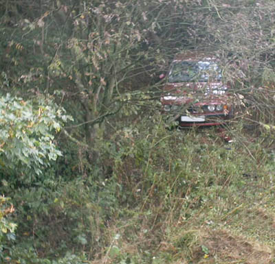 Red-BMW-in-Bushes