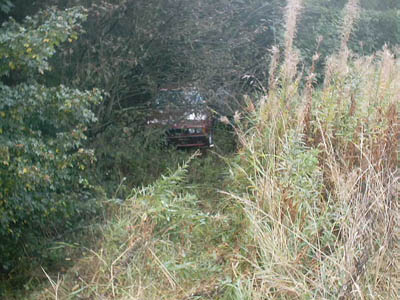 Red-BMW-in-Bushes2